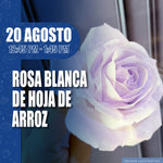 Rosa Blanca de Hoja de Arroz